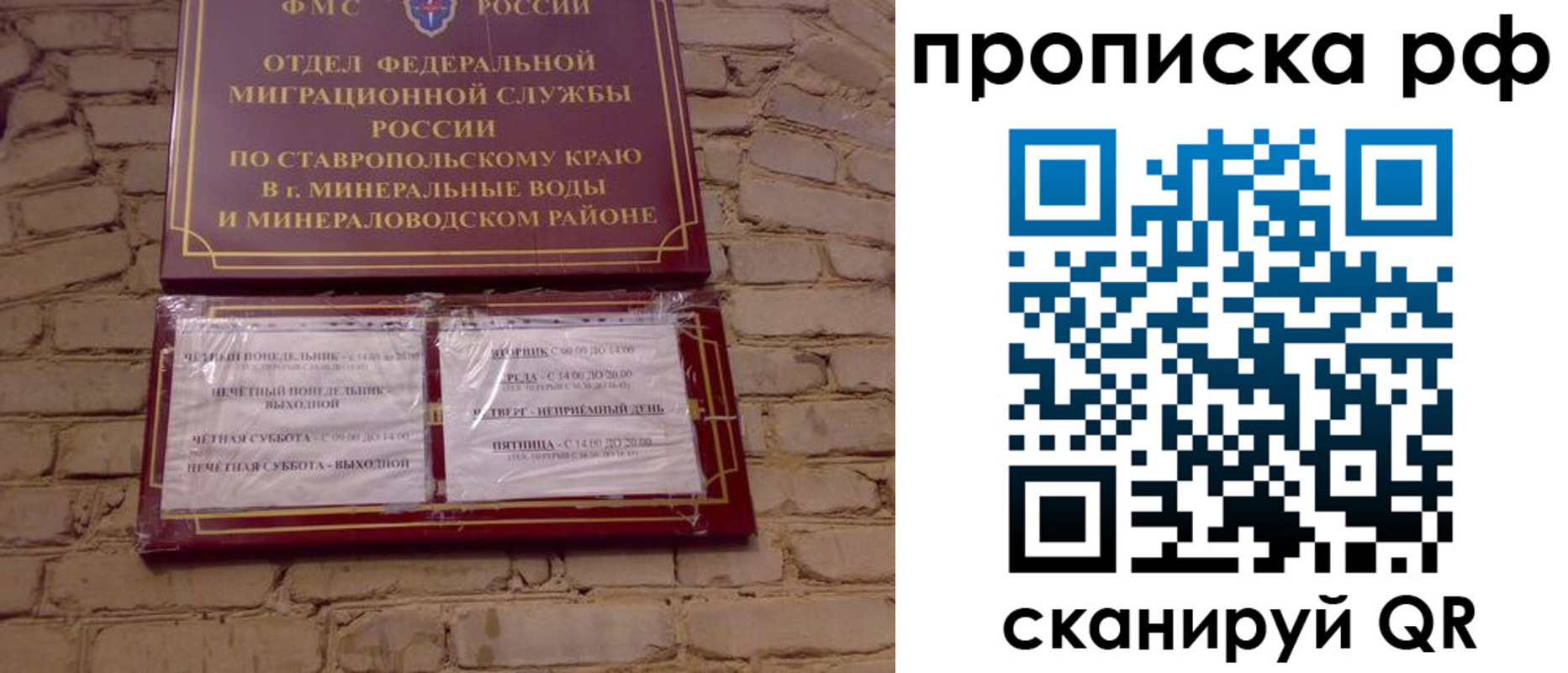временная регистрация в Щиграх
